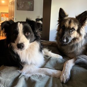 Meet your Posher, Lillian